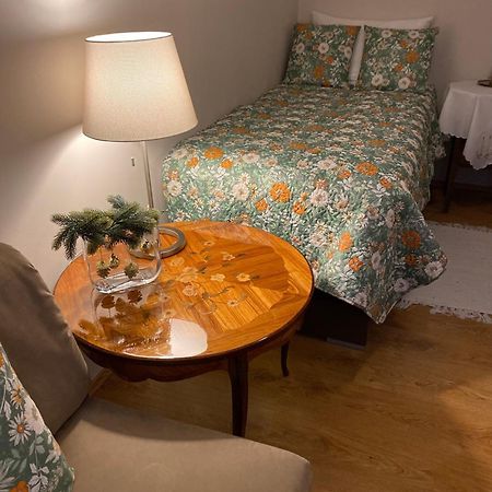 Cozy Apartment Steyr Mitte, Ruhig, Parkplatz, Terasse, 2 Schlafzimmer, Wlan エクステリア 写真