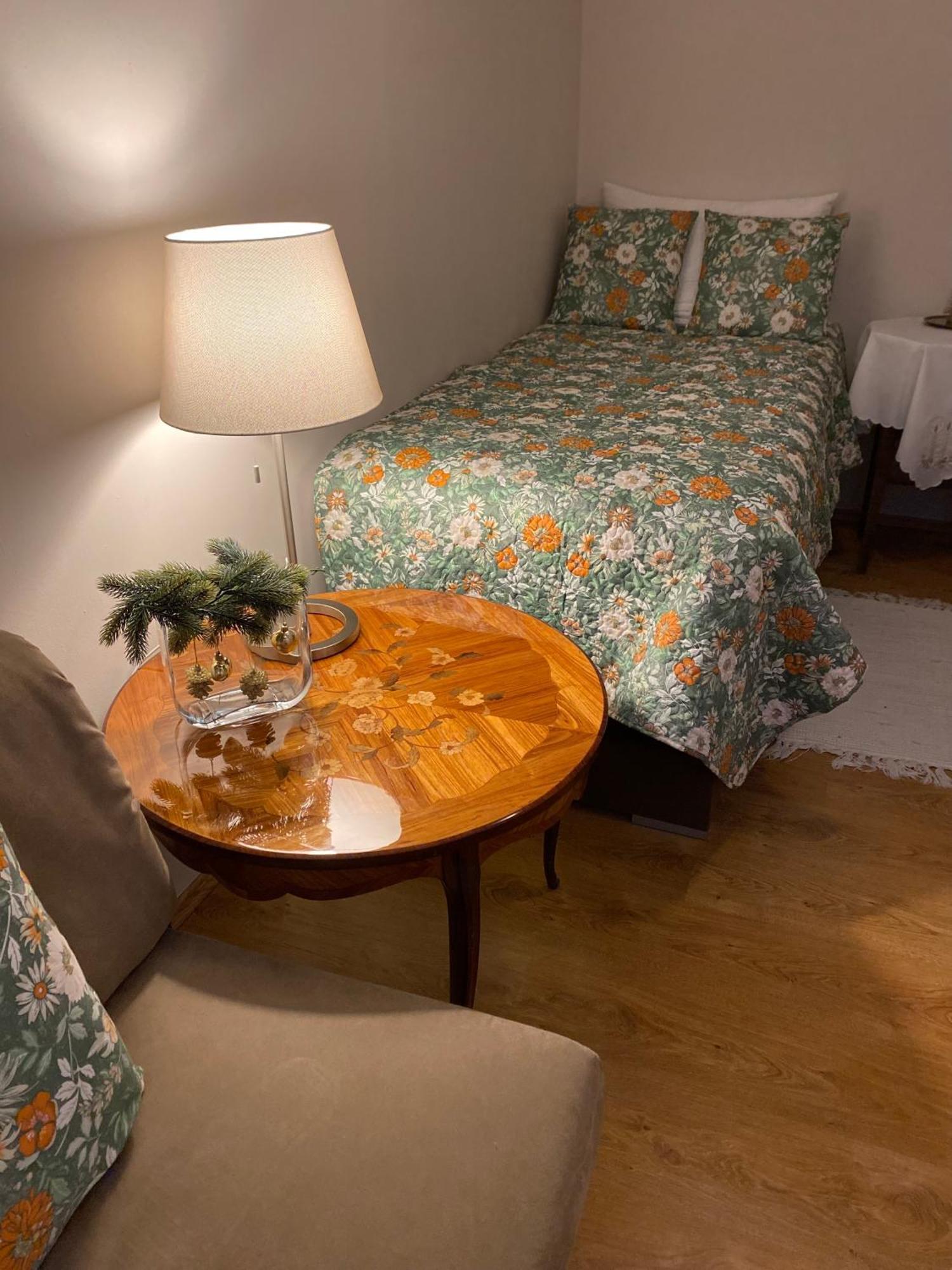 Cozy Apartment Steyr Mitte, Ruhig, Parkplatz, Terasse, 2 Schlafzimmer, Wlan エクステリア 写真