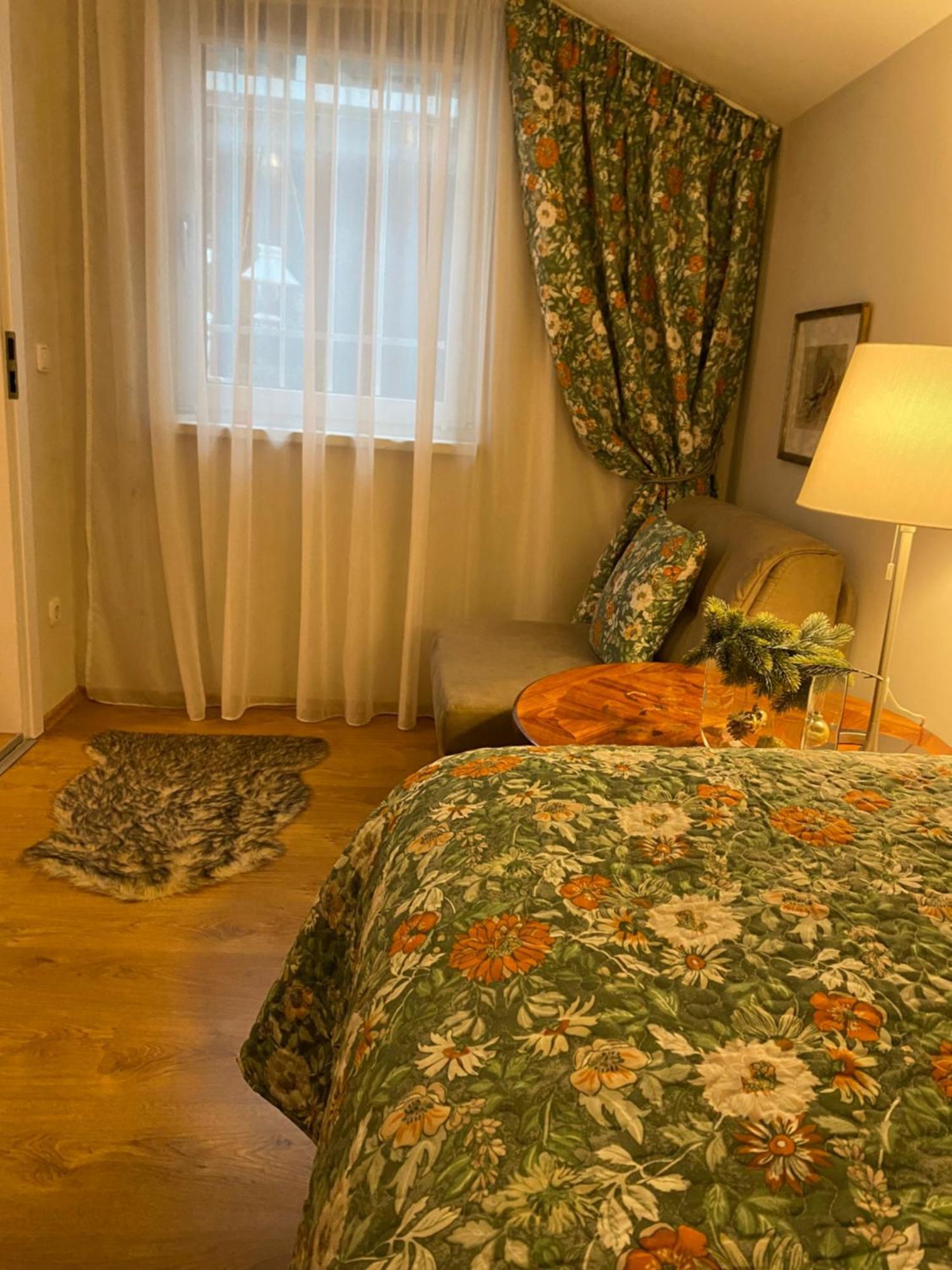 Cozy Apartment Steyr Mitte, Ruhig, Parkplatz, Terasse, 2 Schlafzimmer, Wlan エクステリア 写真